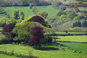 Surrounding countryside